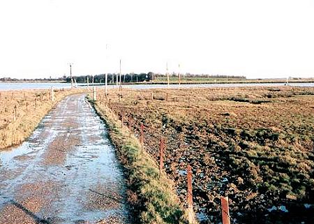 The road to the island